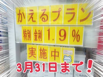 今だけ！！かえるプラン特別金利1.9%